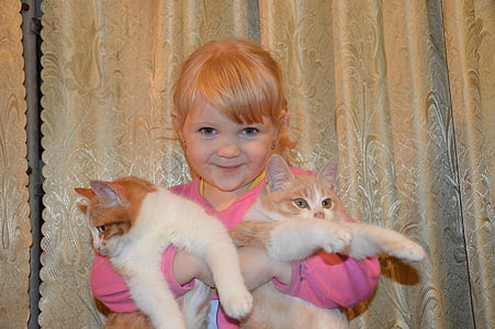 vauva, Tyttö, kissa, lapset, pieni tyttö, Lemmikkieläimet, lapsuuden