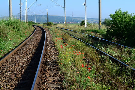 Trem, Papoila, flor, grama, natureza, estrada de ferro, estrada de ferro