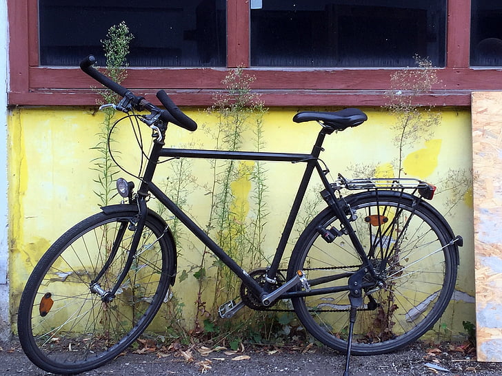 velosipēds, piemājas, velosipēdi, dzeltena, vīnogu novākšanas, velosipēdu, vecais
