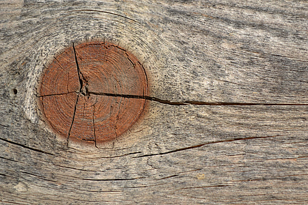 пукнатини, дървен материал, изображение, сухо
