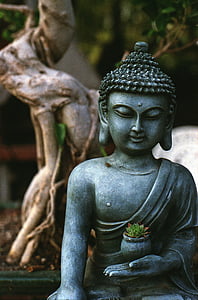 Buddha, meditáció, szobor, vallás, lelki, buddhizmus, vallási