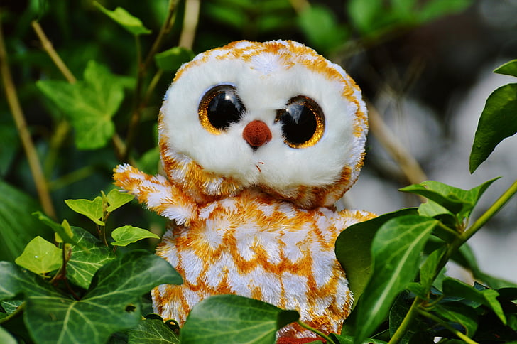 barn owl, bird, feather, glitter eyes, stuffed animal, soft toy, cute
