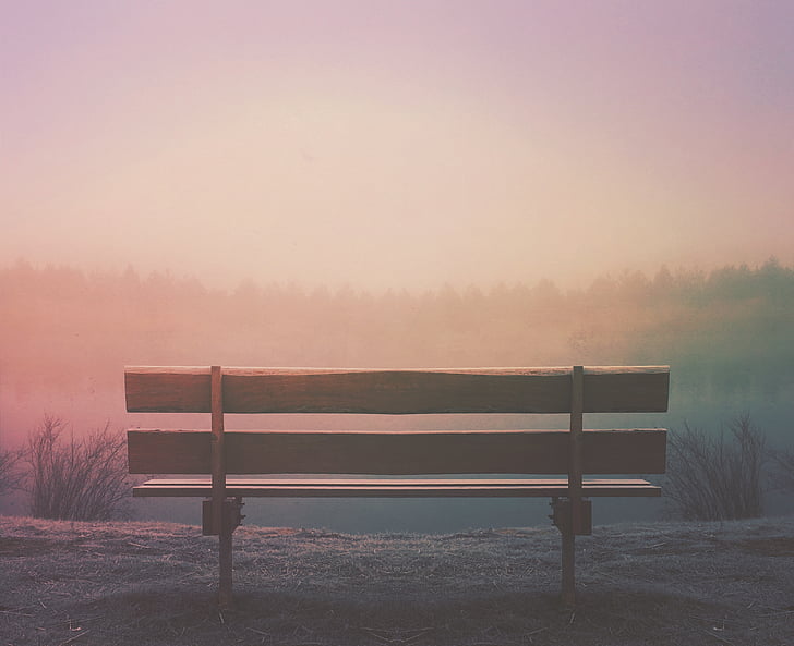 brown, wooden, bench, wood, outdoors, fog, foggy