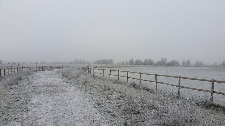 Vinter, landskapet, Zwijndrecht, Nederland