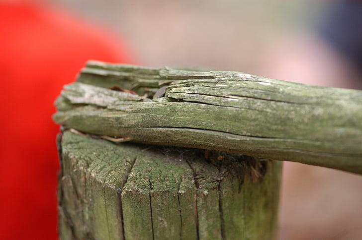 дървен материал, гора, регистър, природата, смахнат, ограда, чепат