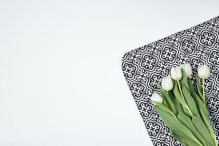 flowers, tulips, model, morocco