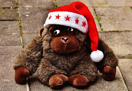christmas, santa hat, stuffed animal, soft toy, monkey, gorilla