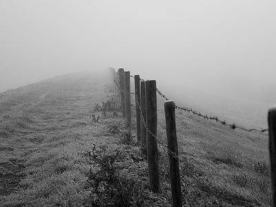 barbed wire, black-and-white, farm, fence, fog, foggy, mist