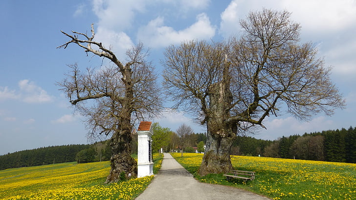 Allgäu, primavera, montaña de Georgi, camino de la Cruz