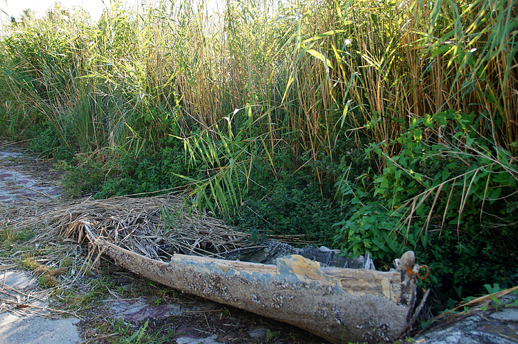 rowboat, the wreck of the, wreck, old, reeds, broken, ruined