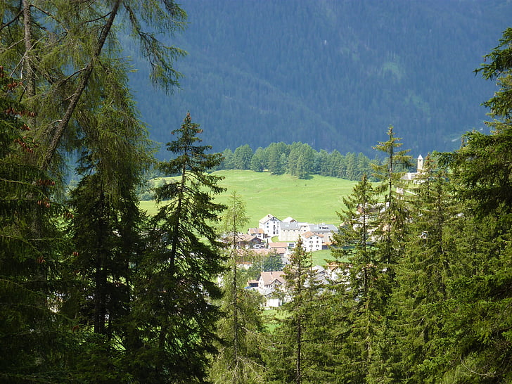 Sveits, Graubünden, Lenz, landskapet, eng, Bergdorf, skog