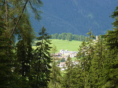 Sveitsi, Graubünden, Lenz, maisema, niitty, Bergdorf, Metsä