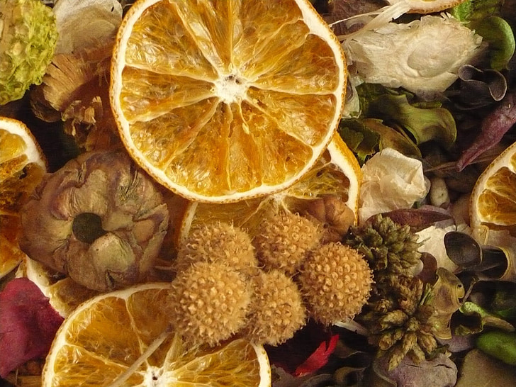 rudens, oranža, sausais, apelsīnu ziedu, apdare, puķe, citrusaugļu