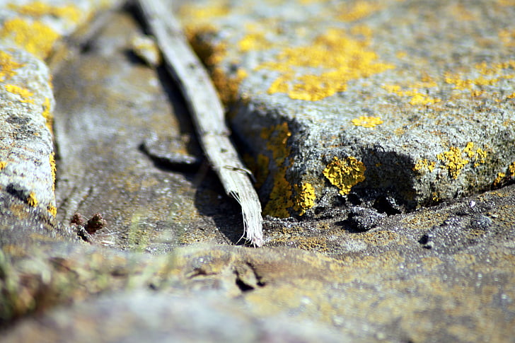 pierres, lichen, Rock, structure