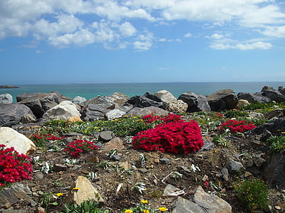 Dienvidāfrikas Republika, Cape town, jūra, skats, klints, krasts