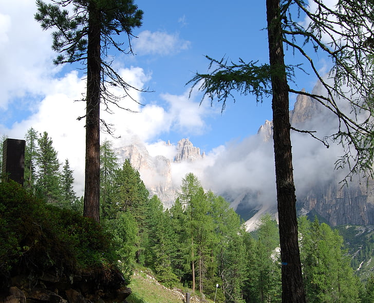 stiebas, Dolomitinės Alpės, kalnų, medis, žalia, dangus, kraštovaizdžio