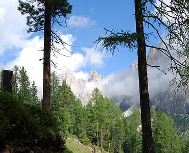 mātes, Dolomites, kalns, koks, zaļa, debesis, ainava