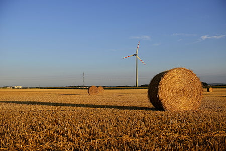 summer, blue, yellow, straw, field, straw bales, harvested