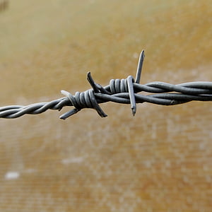 barbed wire, barrier, wire, metal, security, imprisoned, demarcation