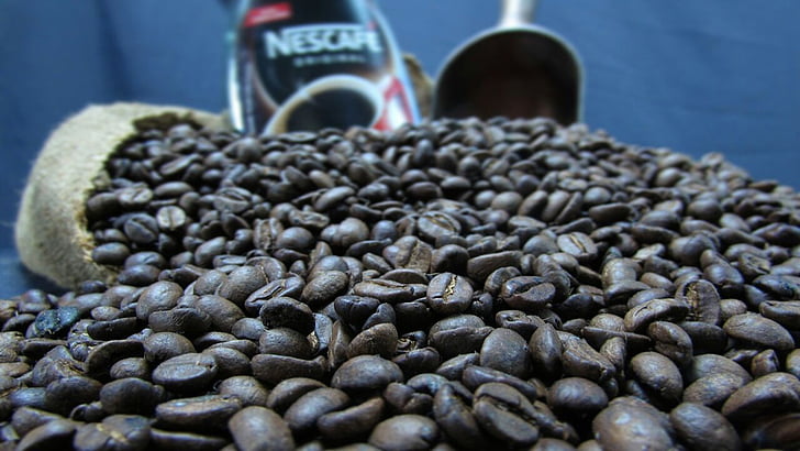 coffee, grain, cafe, caffeine, cup, brown, aroma