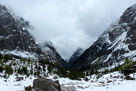 valley, alpine, mountains, landscape