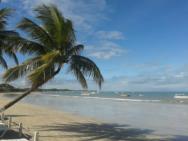 Alagoas, Maragogi, Brazília, északkeleti, huh, Sol, Beach