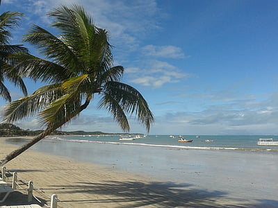 Alagoas, Maragogi, Brazilië, noordoosten, hè, Sol, strand