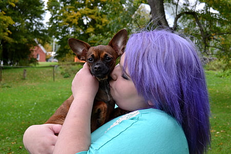 dog, puppy, kissing, cute, chihuahua, love, purple hair