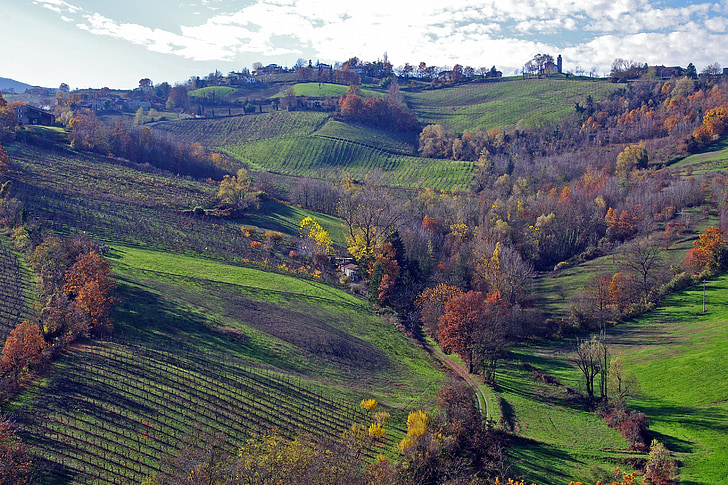 Langhirano, Parma, Emilia romagna, İtalya, üzüm bağları, Hills langhirano, Parma hills