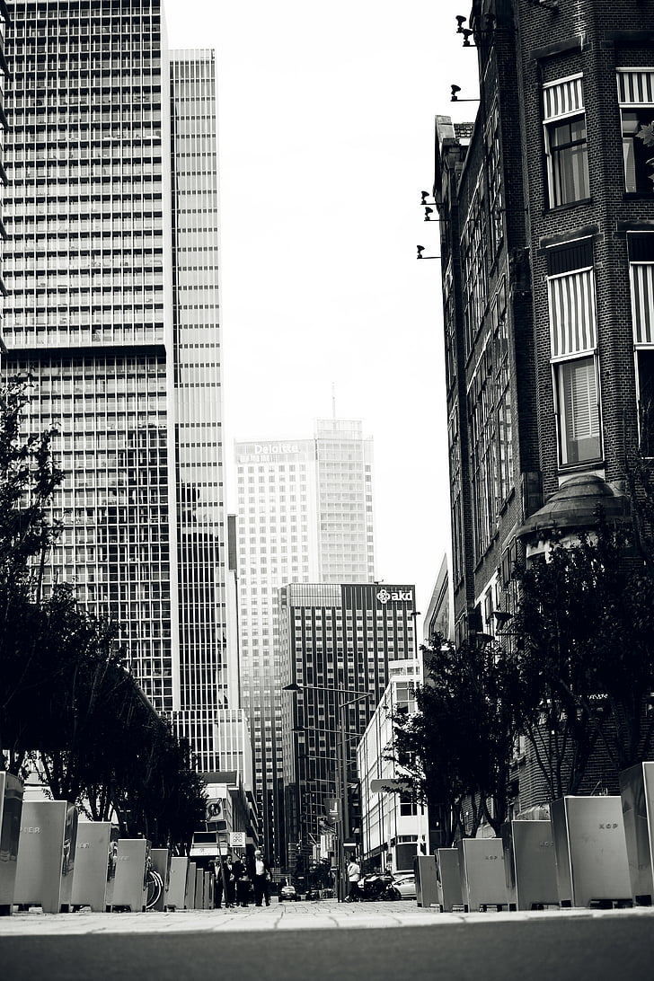 apartment, architecture, black and-white, buildings, business, city, cityscape