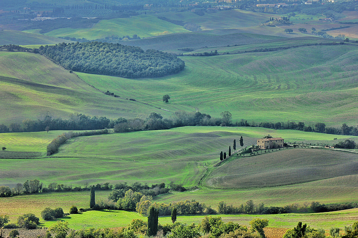 maastikud, roheline, Toscana, Itaalia