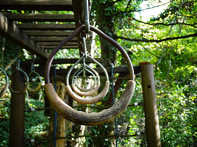 old, gymnastic rings, scaffold, climb, park, forest, summer