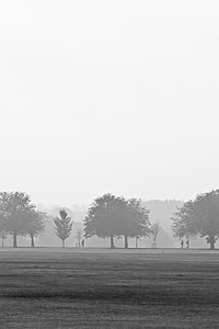 brouillard, brumeux, paysage, brume, brumeux, matin, mystérieuse