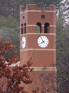 university, clock tower, clock, tower, architecture, education, building