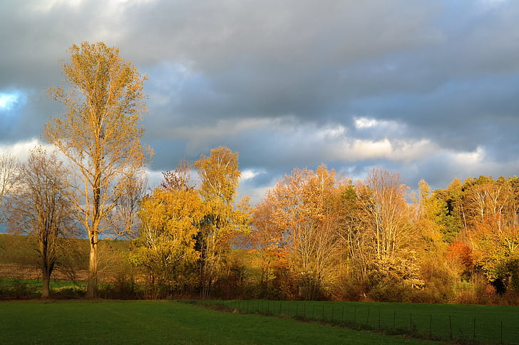 landscape, nature, autumn mood, idyll, autumn light, autumn, emerge