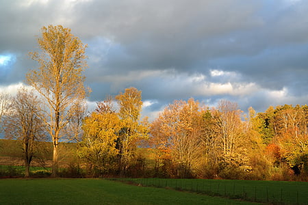 Landschaft, Natur, Herbststimmung, Idylle, Herbst-Licht, Herbst, entstehen