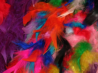 feather, colorful feathers, carnival, stoles, colorful, background, color