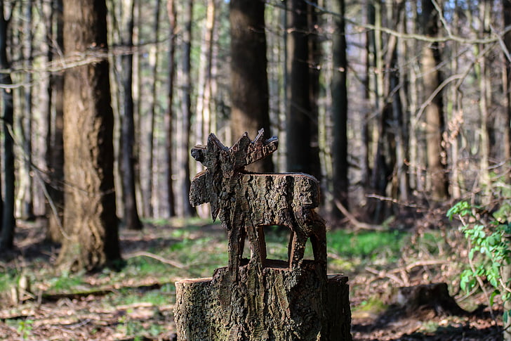 Moose, drevené moose, umenie, Forest, strom, Príroda, peň