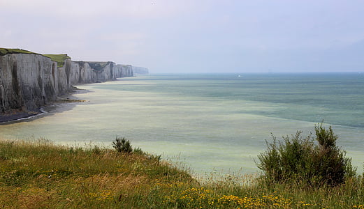 falaise, Côte d’Opale, mer, France, poignée, paysage marin