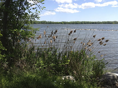 jezero, čišćenje, Syracuse