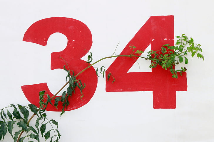 green, plants, print, illustration, white, wall, numbers