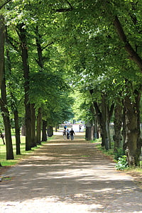 calea de pădure, Stadtwald, Idila, verde, de mers pe jos, muta
