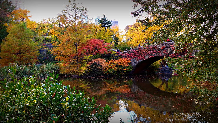bridge, nyc, usa, central park, fall, autumn, reflection