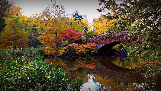 Most, NYC, USA, Central park, jeseň, jeseň, reflexie