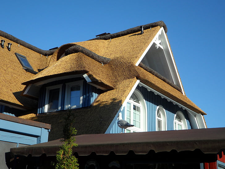 Reed, Casa, telhado, janela, Darß, Mar Báltico, fachada