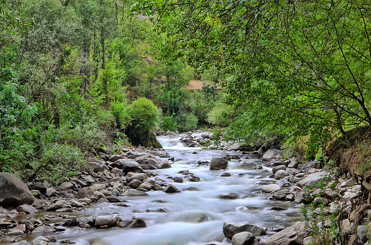 River, maisema, Turkki, Luonto, vihreä, ulkoilmaan, Natur