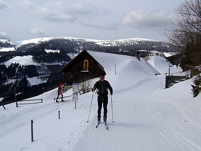 vinter, land, sne, natur, Ski, skiløbere, Østrig