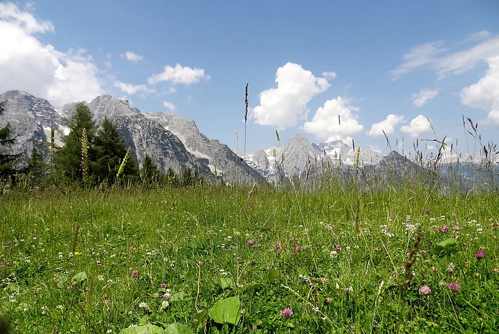 Горна Австрия, Доломитите тестото, празник, пътуване, пейзаж, панорама, планини
