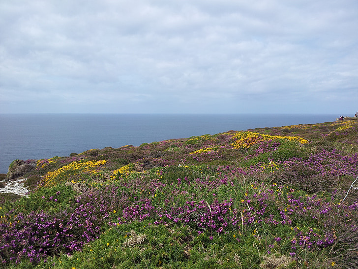 Lande bretonne, Brittany, Sea, Horizon, Finistèren, puolella