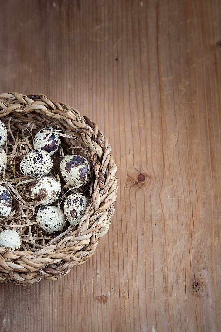 Korb, Ei, kleinen Eiern, Wachteleier, Ostern, Holz, in der Nähe